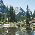 公寓 Seefeld Tirol - Luxusappartement Birkenwald *